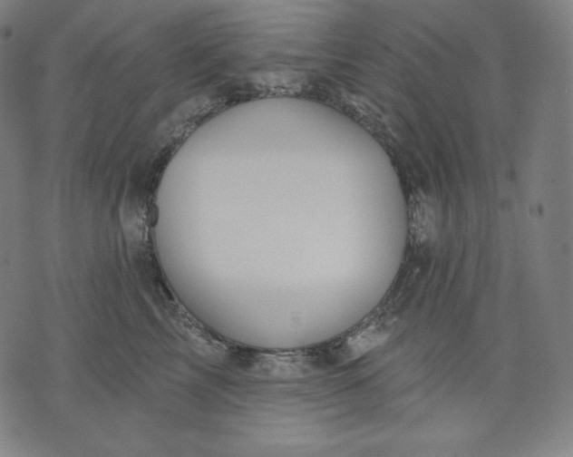 X0000070340713200606231532