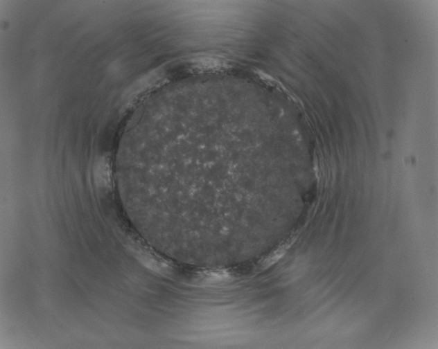 X0000070340715200606231532