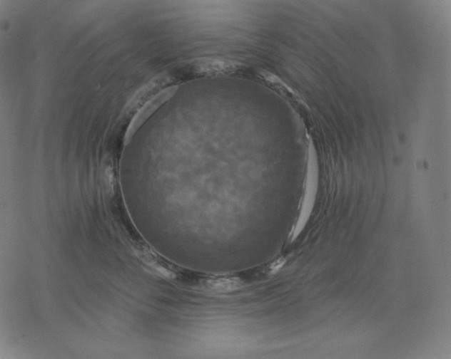 X0000070340716200606231532