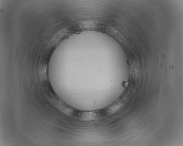 X0000070340717200606231532