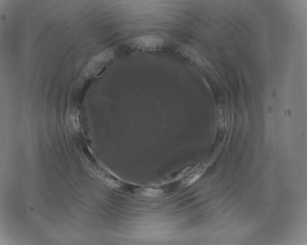 X0000070340718200606231532