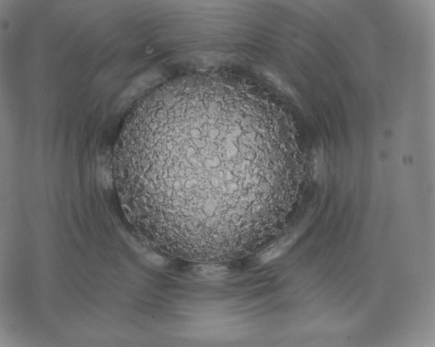 X0000070340719200606231532