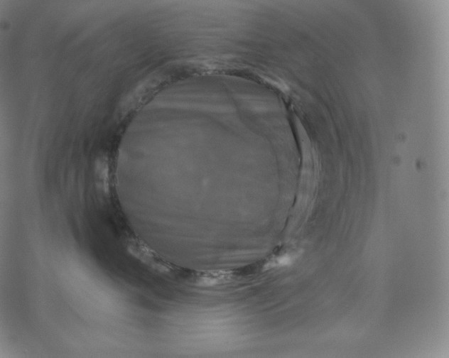 X0000070340720200606231532