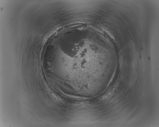 X0000070340721200606231531