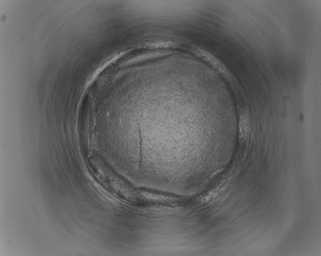 X0000070340722200606231531