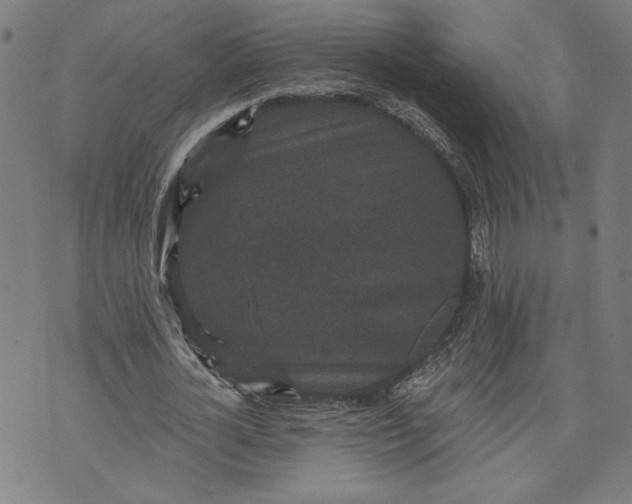 X0000070340724200606231531