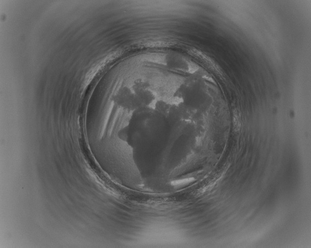 X0000070340725200606231531