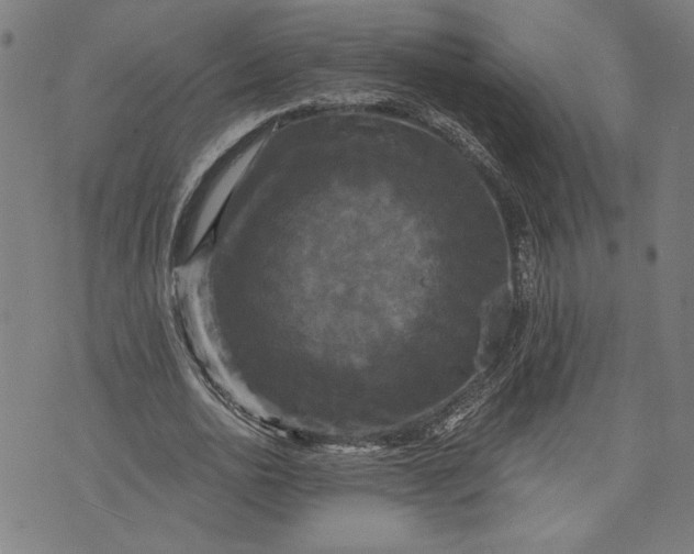 X0000070340726200606231531