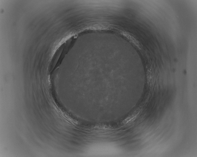 X0000070340727200606231531