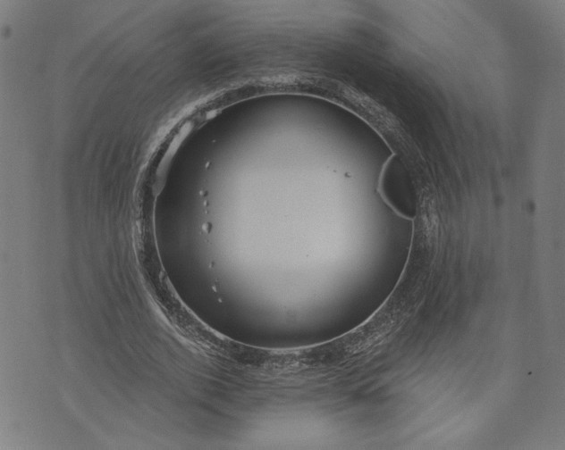 X0000070340728200606231531