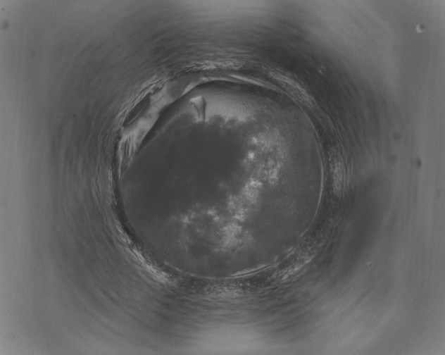 X0000070340729200606231531