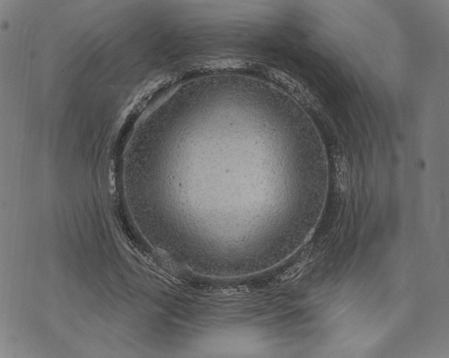 X0000070340731200606231531