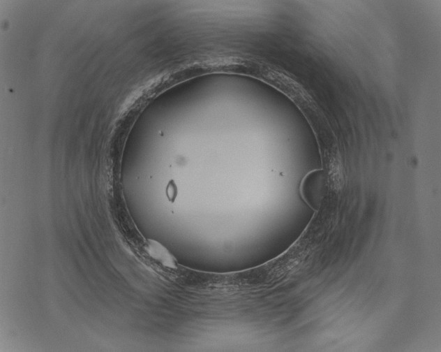 X0000070340732200606231531