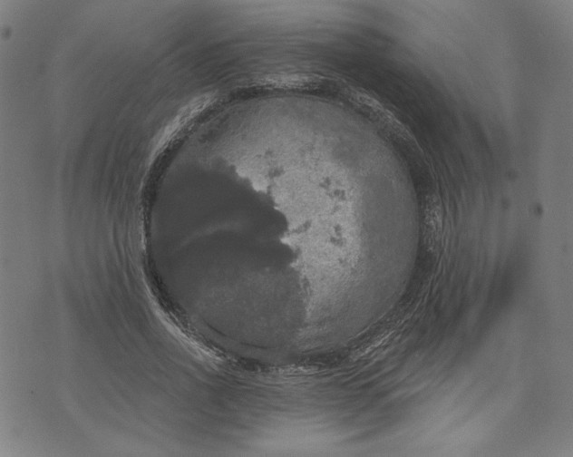 X0000070340734200606231531