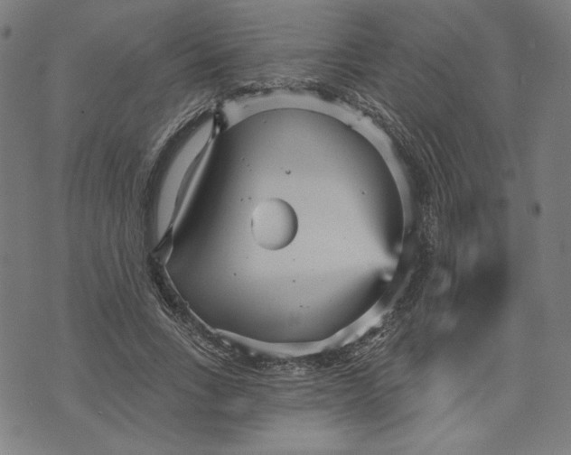 X0000070340735200606231531