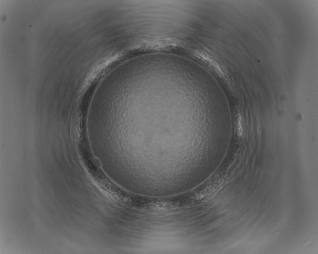 X0000070340736200606231532