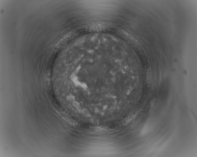 X0000070340737200606231532