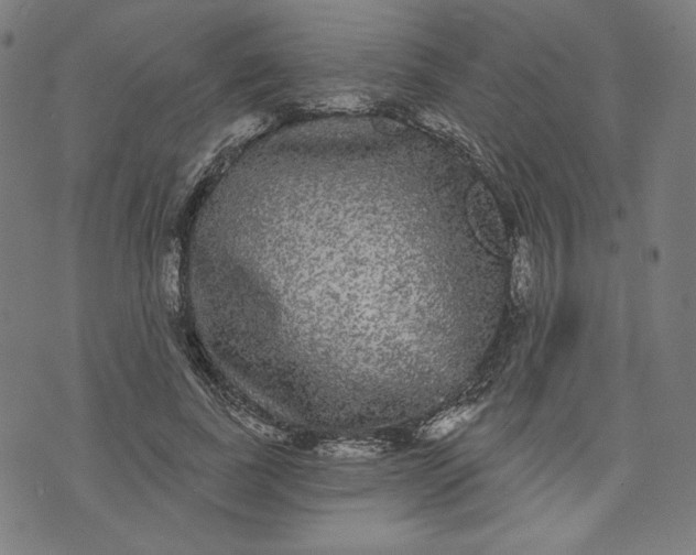 X0000070340739200606231532