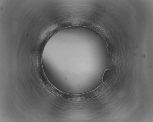 X0000070340740200606231532