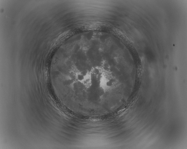 X0000070340741200606231532