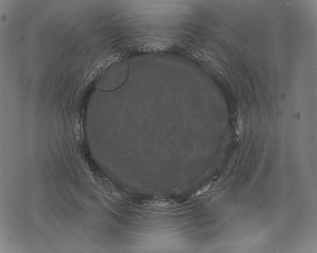 X0000070340743200606231532