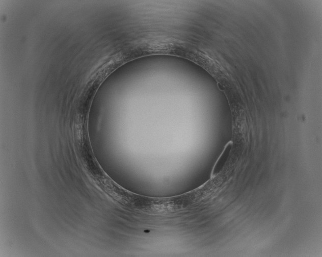 X0000070340744200606231532