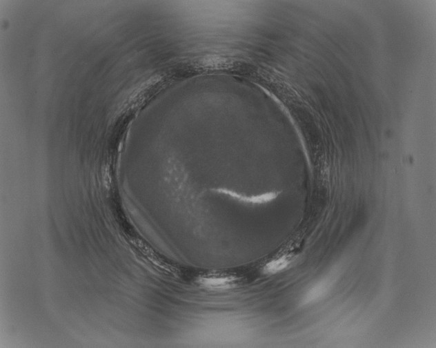 X0000070340746200606231532