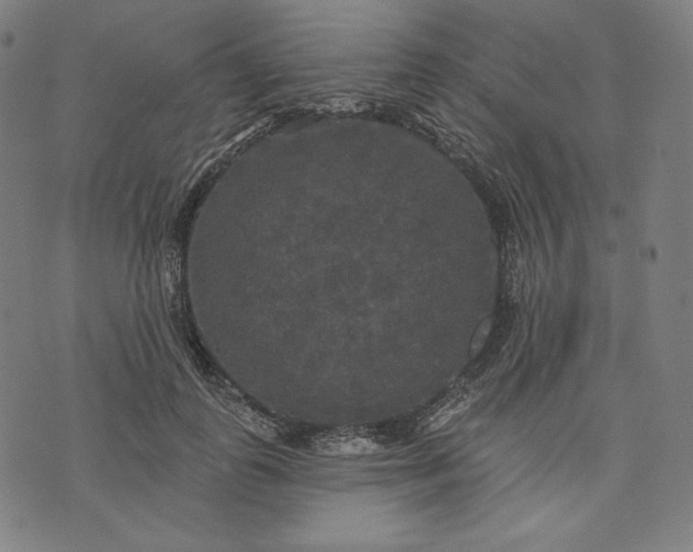 X0000070340747200606231532