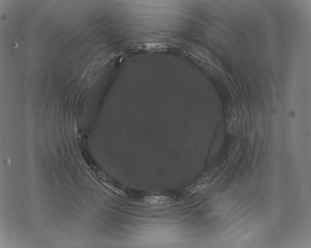 X0000070340748200606231532