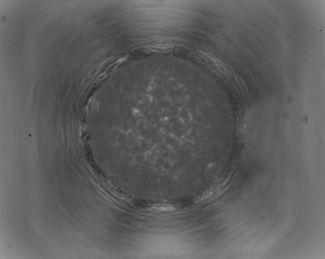 X0000070340749200606231532