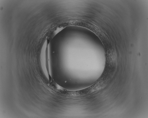 X0000070340750200606231532