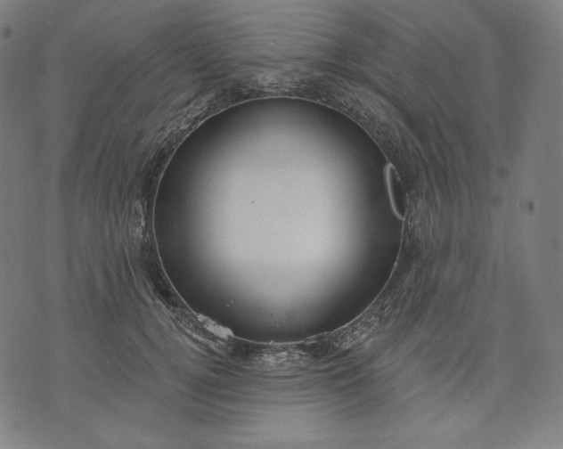 X0000070340752200606231532