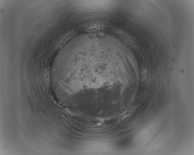 X0000070340753200606231532