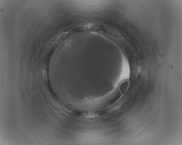 X0000070340754200606231532