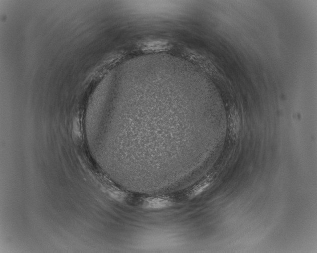 X0000070340755200606231532