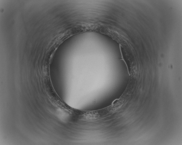 X0000070340756200606231532