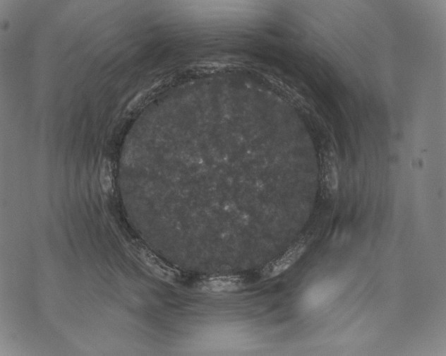 X0000070340758200606231532