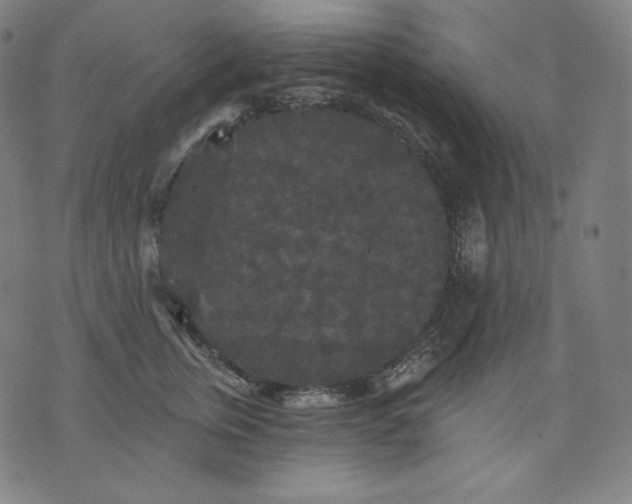 X0000070340759200606231532