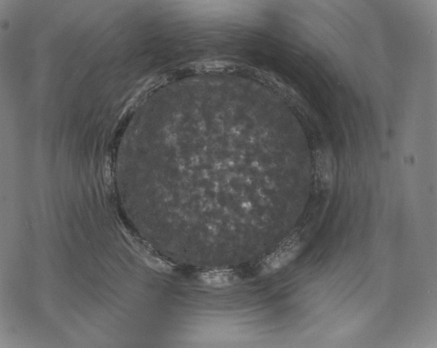 X0000070340761200606231532