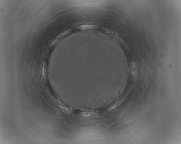 X0000070340763200606231532