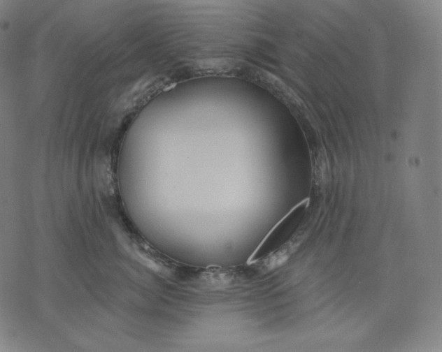 X0000070340764200606231532