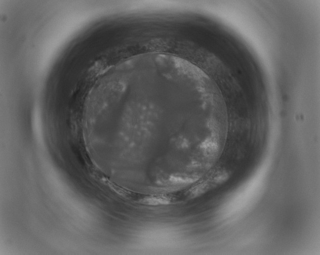 X0000070340765200606231532