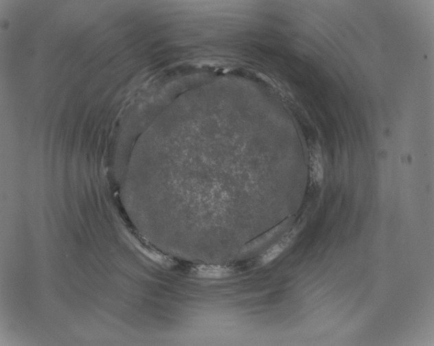 X0000070340766200606231532