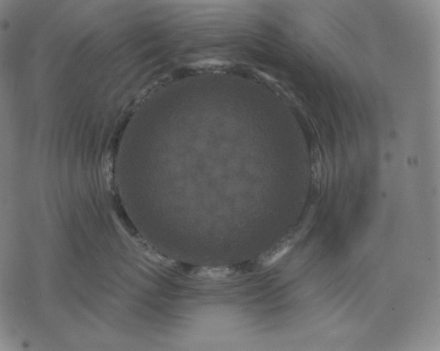 X0000070340767200606231532