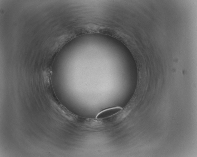 X0000070340768200606231532