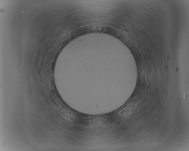 X0000070340769200606231531