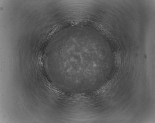 X0000070340770200606231531