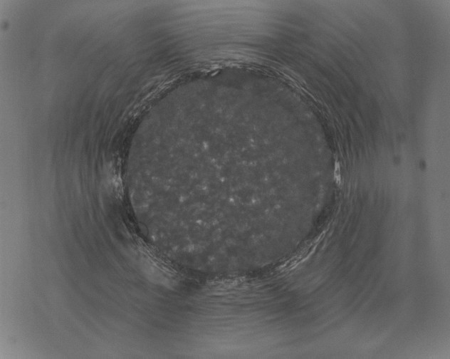 X0000070340771200606231531