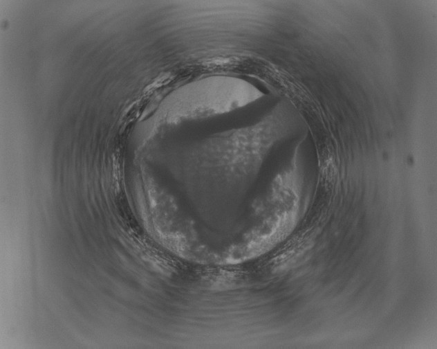 X0000070340772200606231531