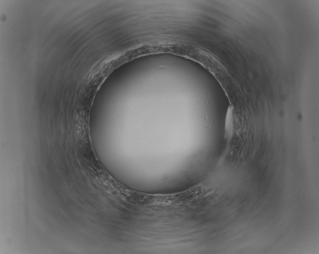 X0000070340773200606231531